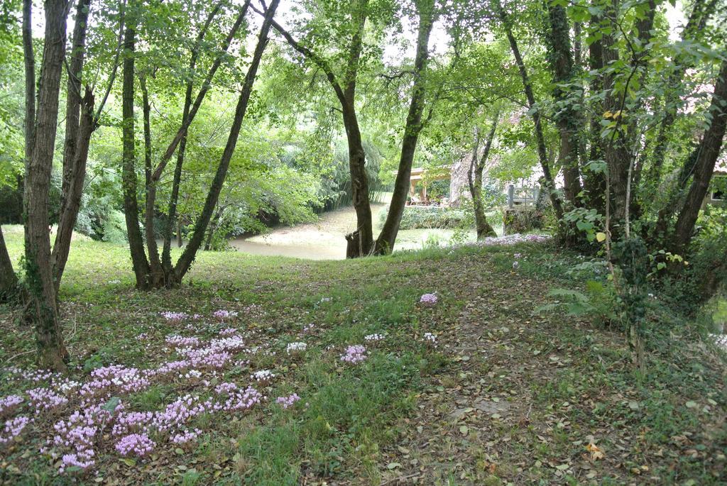 Moulin De Repassat Etape Voie Verte Bazens Dış mekan fotoğraf